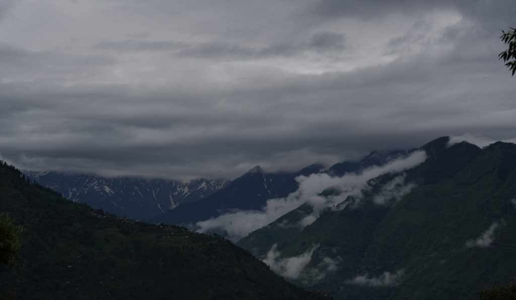 Untitled design (27)