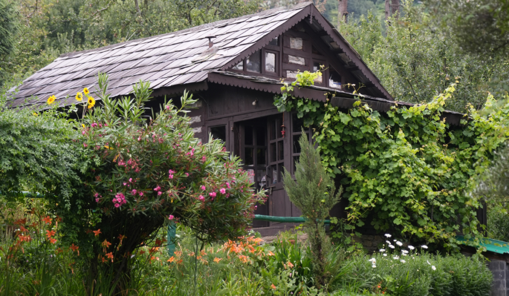 Untitled design (28)